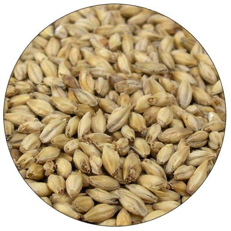 2-Row Brewers Malt – Briess – 50 lb. Sack