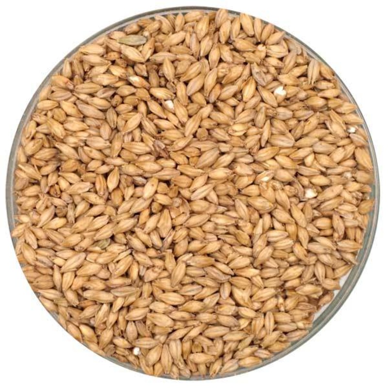 2-Row Malt – Rahr – 55 lb. Sack