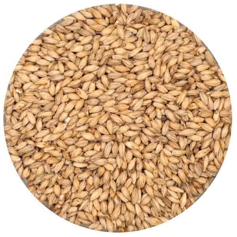 6-Row Malt – Rahr – 55 lb. Sack