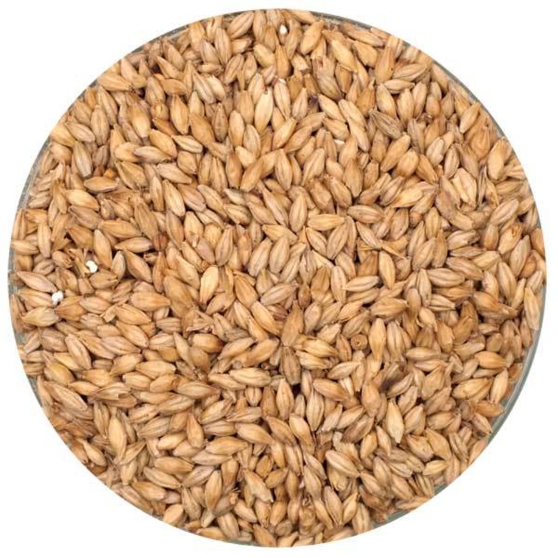 Belgian Pilsner Malt – Dingemans – 55 lb. Sack