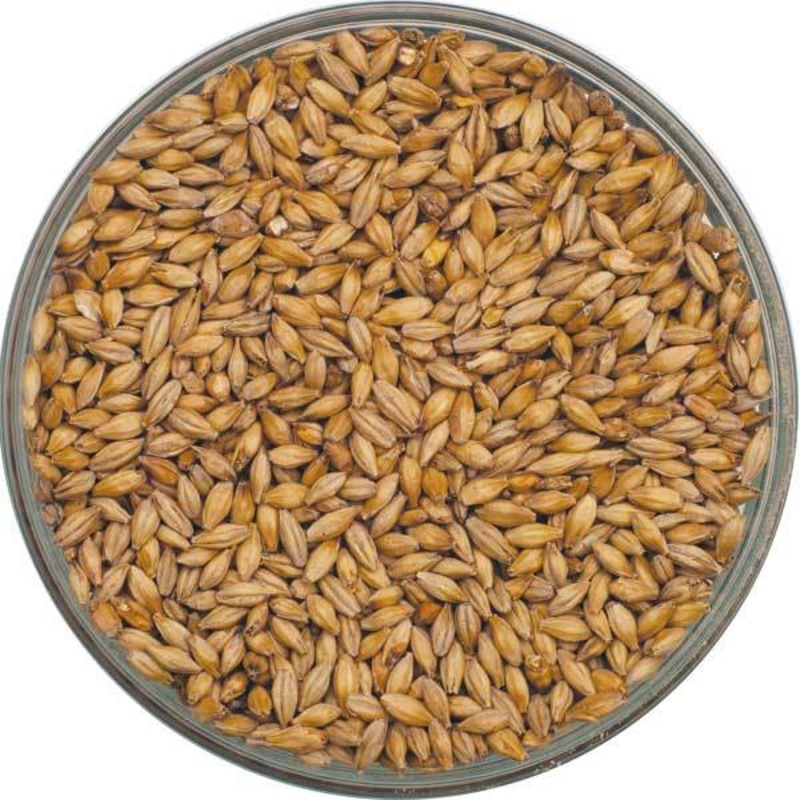 Best Malz German Pilsen Malt – 55 lb. Sack