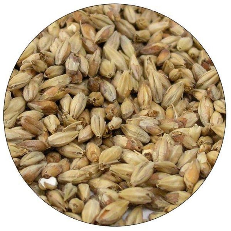 Bonlander Munich Malt – Briess – 50 lb. Sack