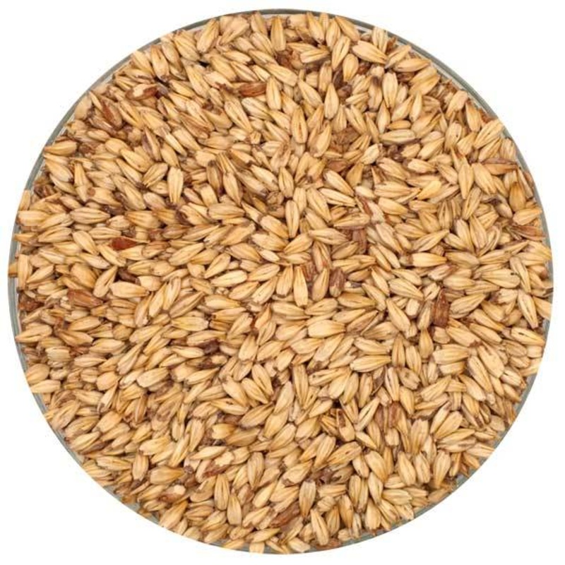 Caramel 10L Malt – Briess – 50 lb. Sack