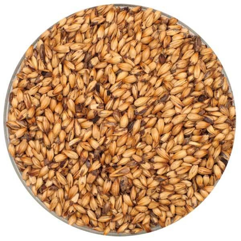 Caramel 120L Malt – Briess – 50 lb. Sack