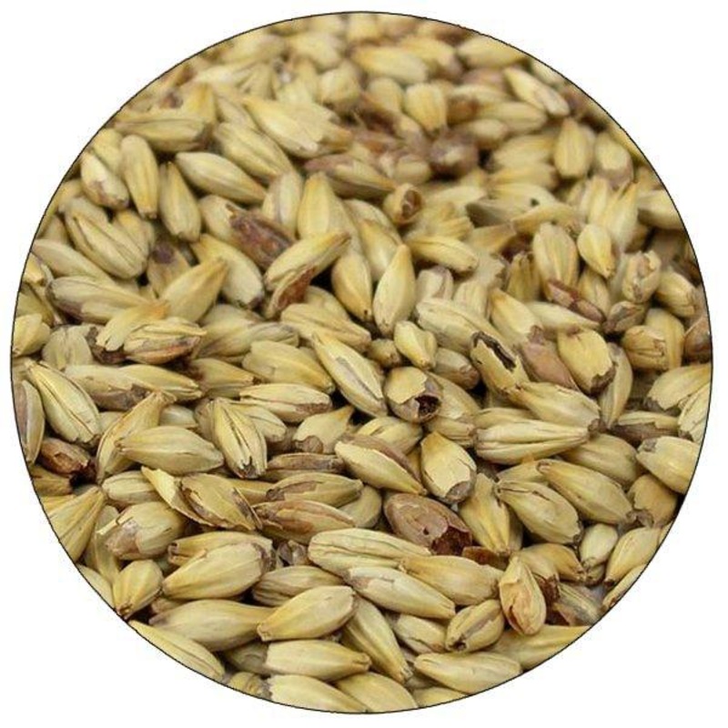 Caramel 20L Malt – Briess – 50 lb. Sack