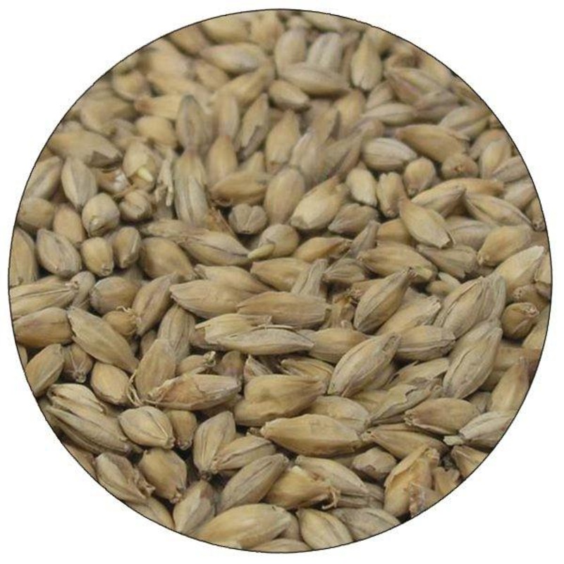 English Floor Malted Maris Otter Malt – Warminster – 55 lb. Sack