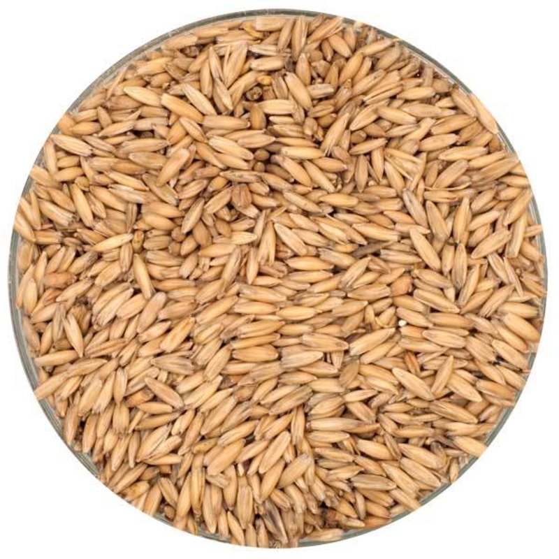 English Oat Malt – Thomas Fawcett Malting – 55 lb. Sack