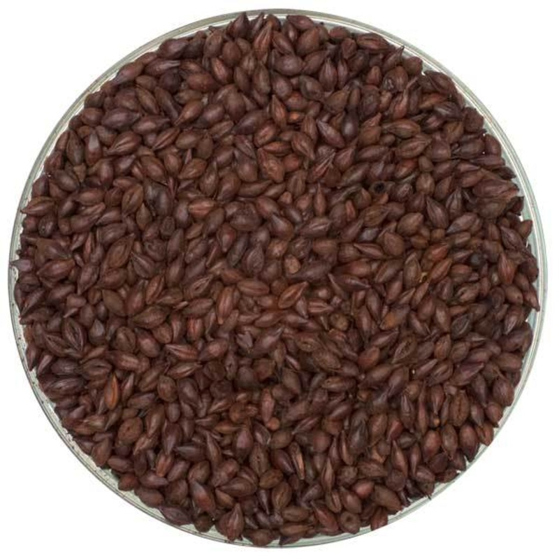 English Roasted Barley Malt – 55 lb. Sack