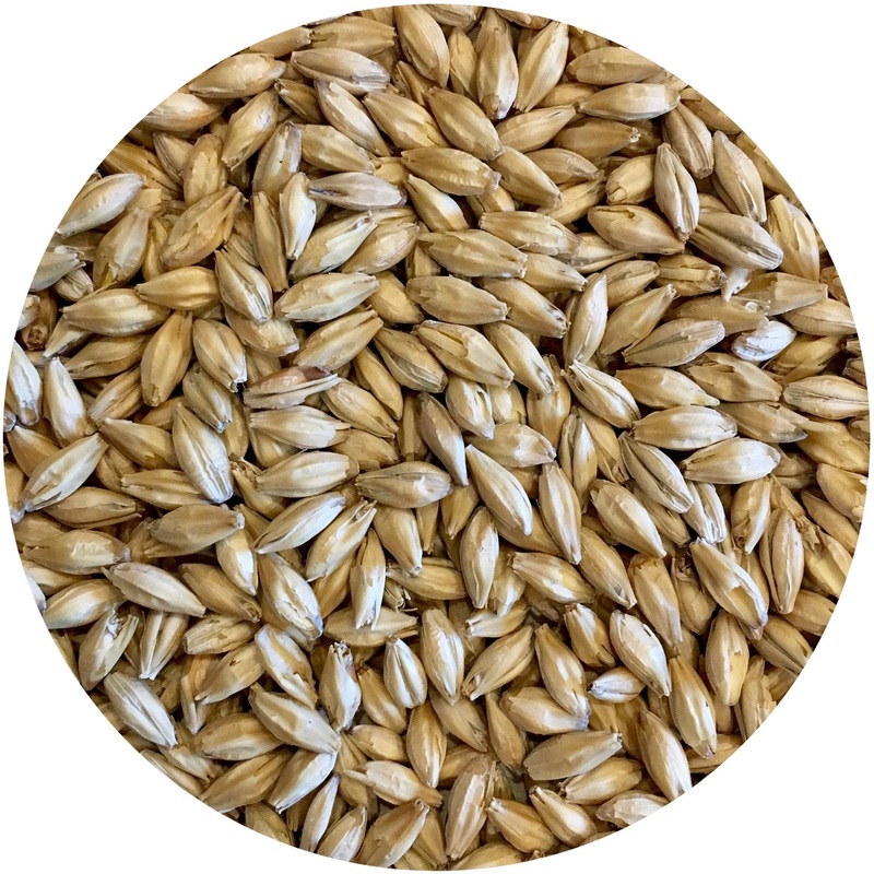 Gateway (Under-Modified Wind-Malt) – Mecca Grade – 50 lb. Sack