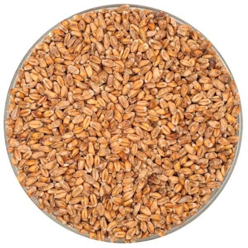 German Dark Wheat Malt – Weyermann – 55 lb. Sack