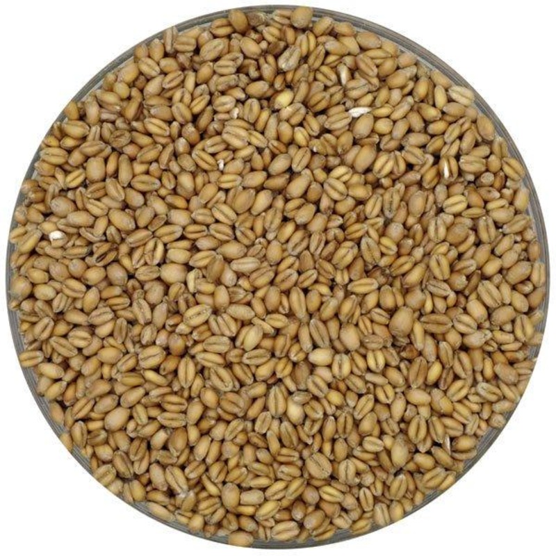 German Floor Malted Bohemian Pale Wheat – Weyermann – 55 lb. Sack