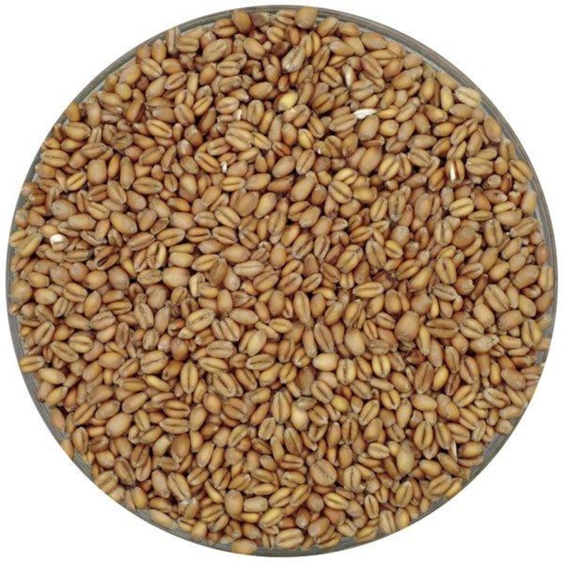 German Oak-Smoked Pale Wheat Malt – Weyermann – 55 lb. Sack