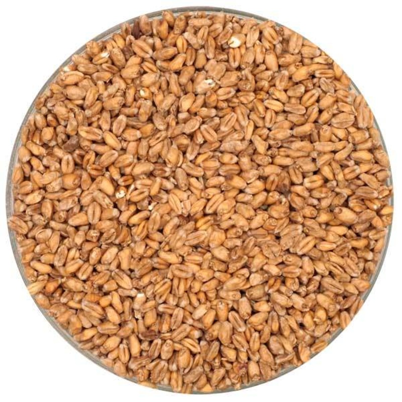 German Pale Wheat Malt – Weyermann – 55 lb. Sack