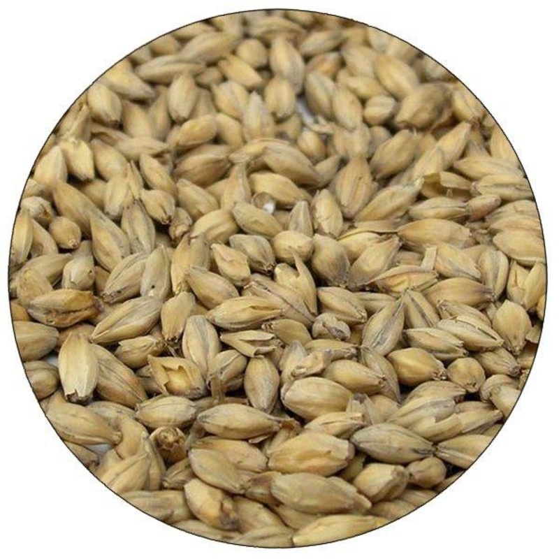 Golden Promise Malt – 55 lb. Sack