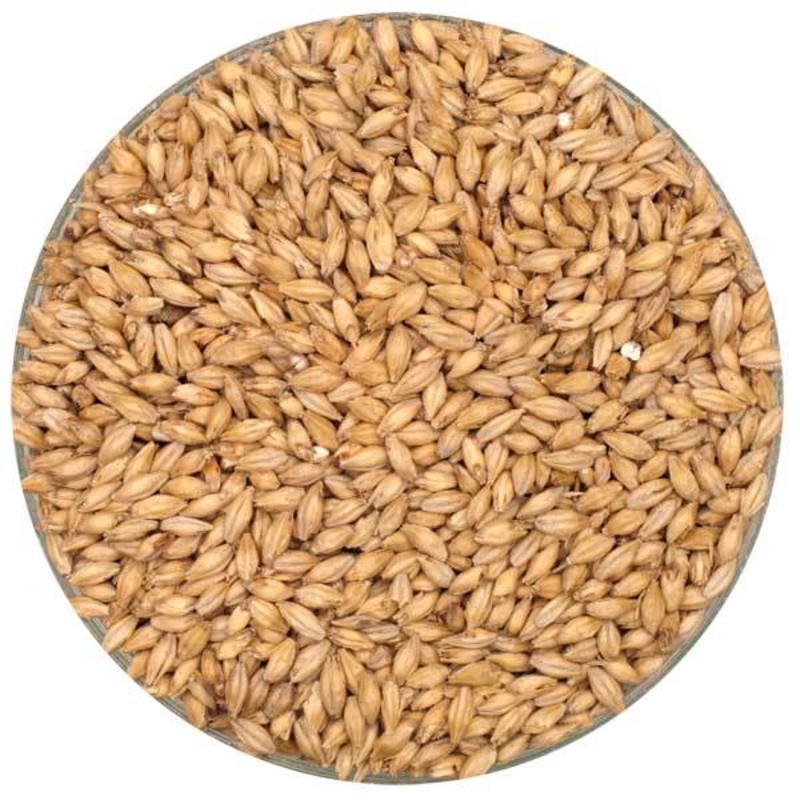 Irish Distiller’s Malt – Malting Co. of Ireland – 55 lb. Sack