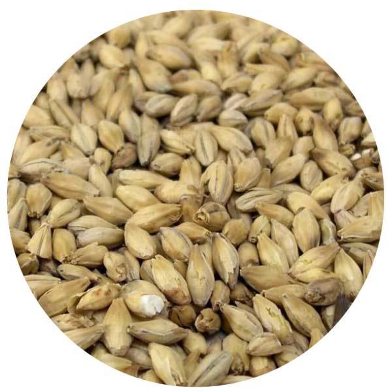 Isaria 1924 Heirloom Malt – Weyermann – 55 lb. Sack