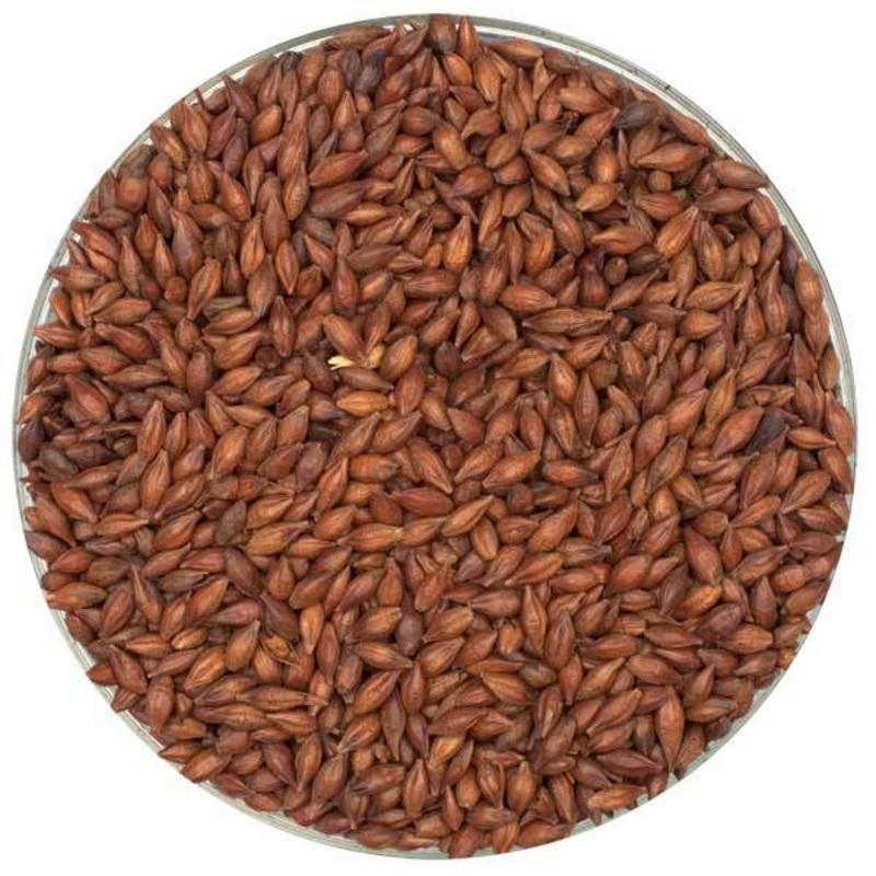 Light Roasted Barley – Briess – 50 lb. Sack