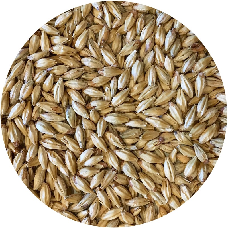 Metolius (Munich-style) Malt – Mecca Grade – 50 lb. Sack