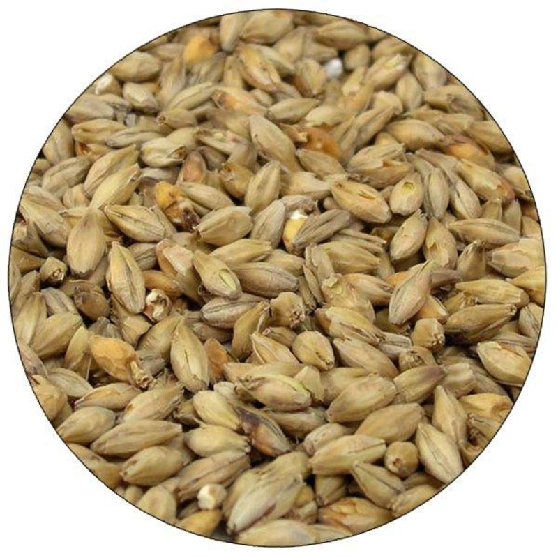 Munich 10 Malt – Root Shoot Malting – 50 lb. Sack