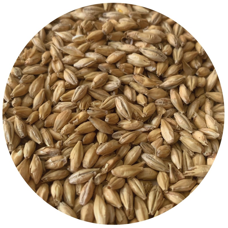 North Star Pils – Rahr – 55 lb. Sack