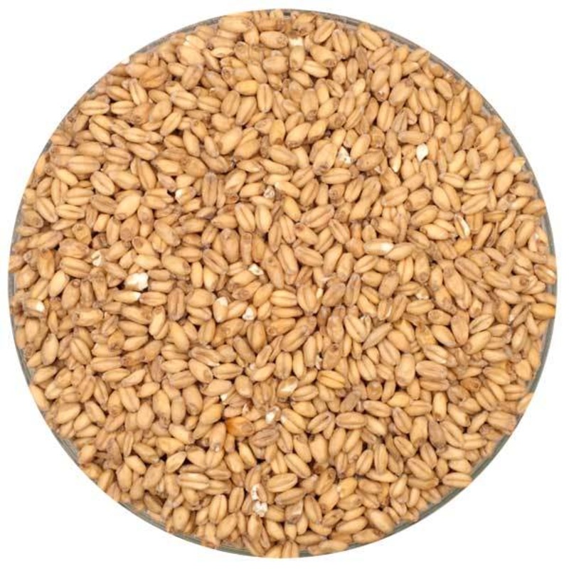 Olandsvete Heritage Wheat Malt – Root Shoot Malting – 50 lb. Sack