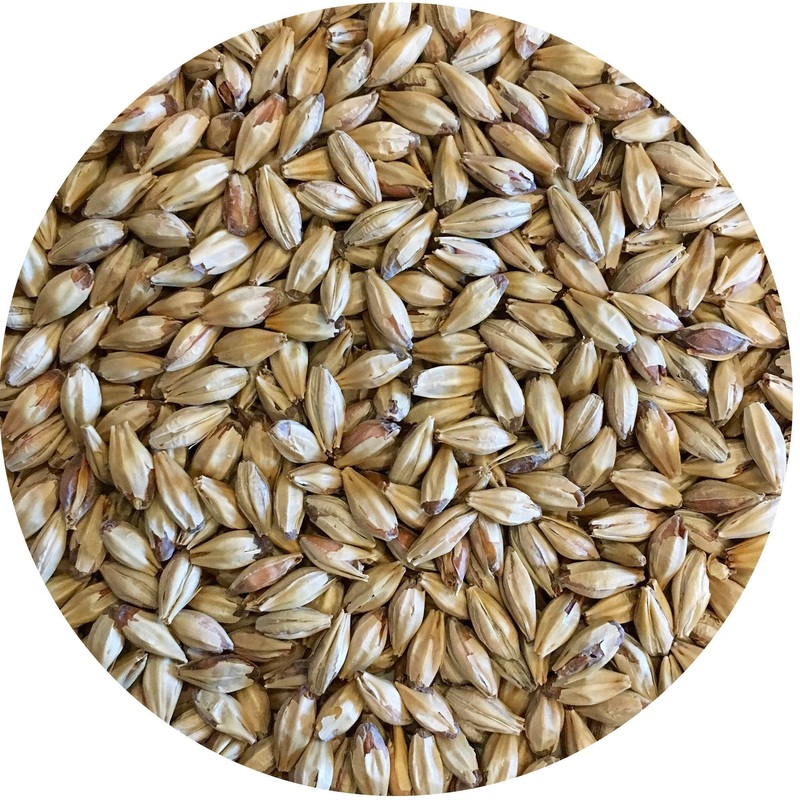Opal 44 (Caramelized, Toffee) Malt – Mecca Grade – 50 lb. Sack