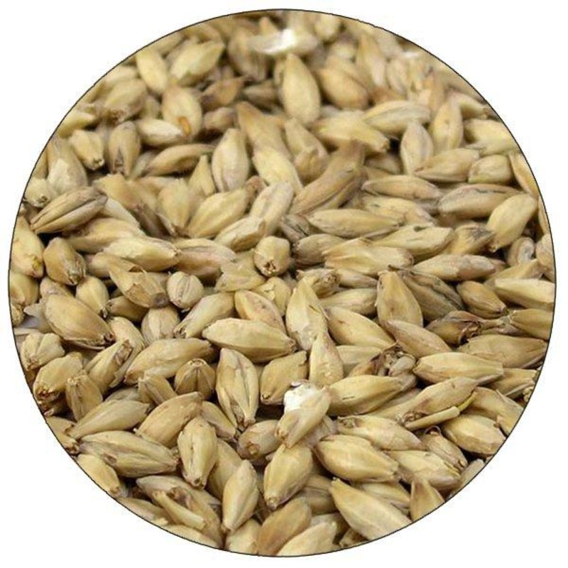 Organic 2-Row Malt – Briess – 50 lb. Sack