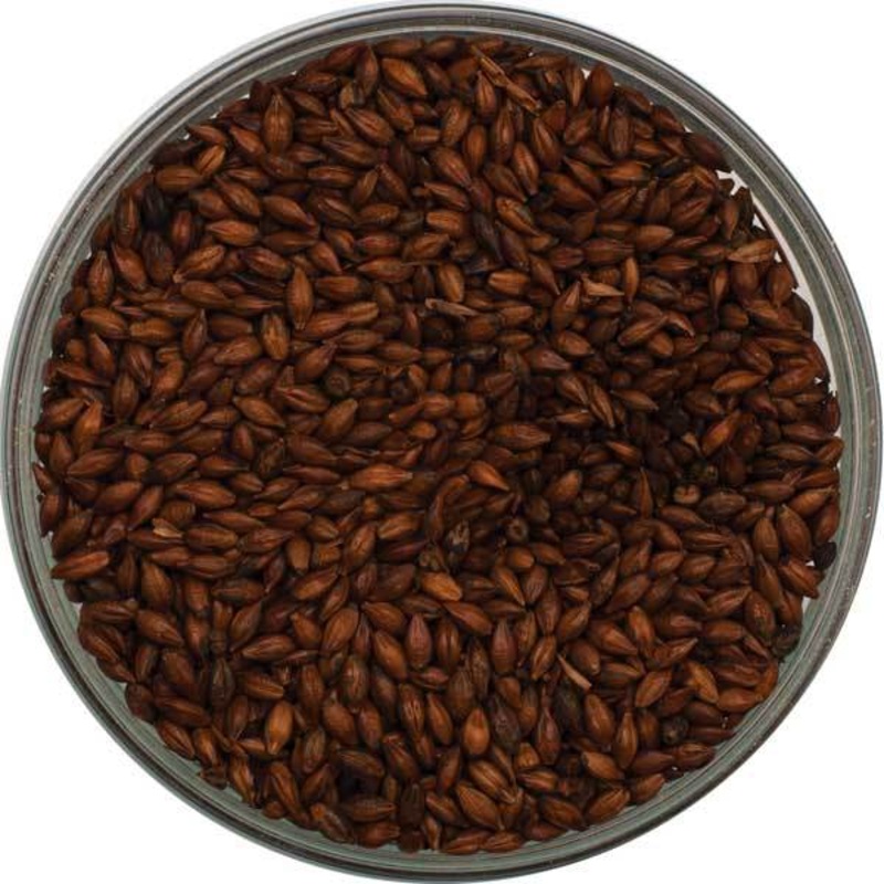 Organic Roast Barley Malt – Briess – 50 lb. Sack