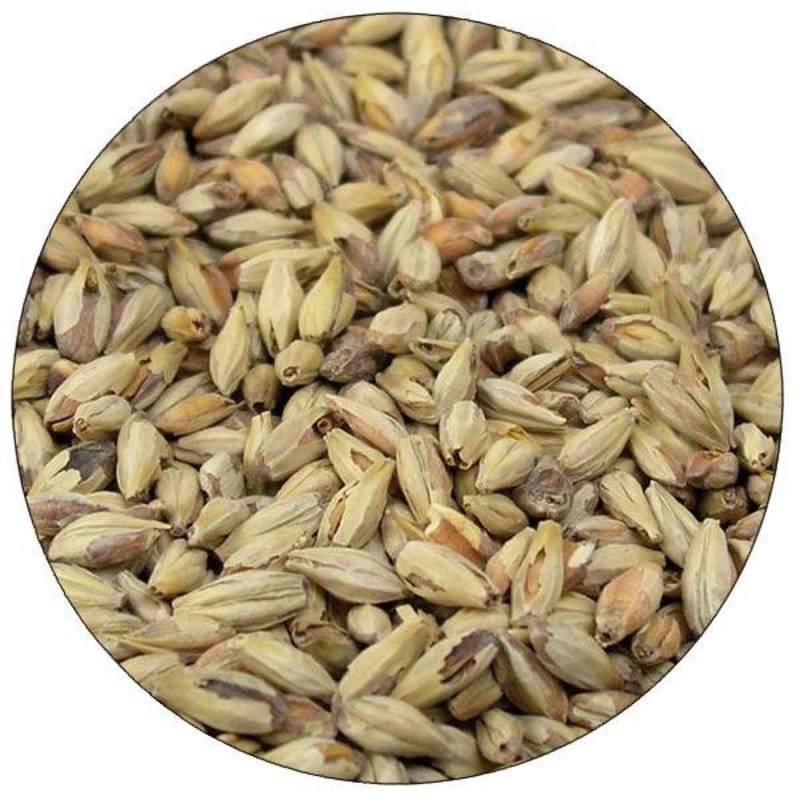 Pale Ale Malt – Briess – 50 lb. Sack