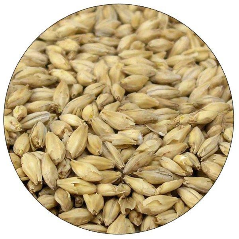 Pale Ale Malt – Rahr – 55 lb. Sack