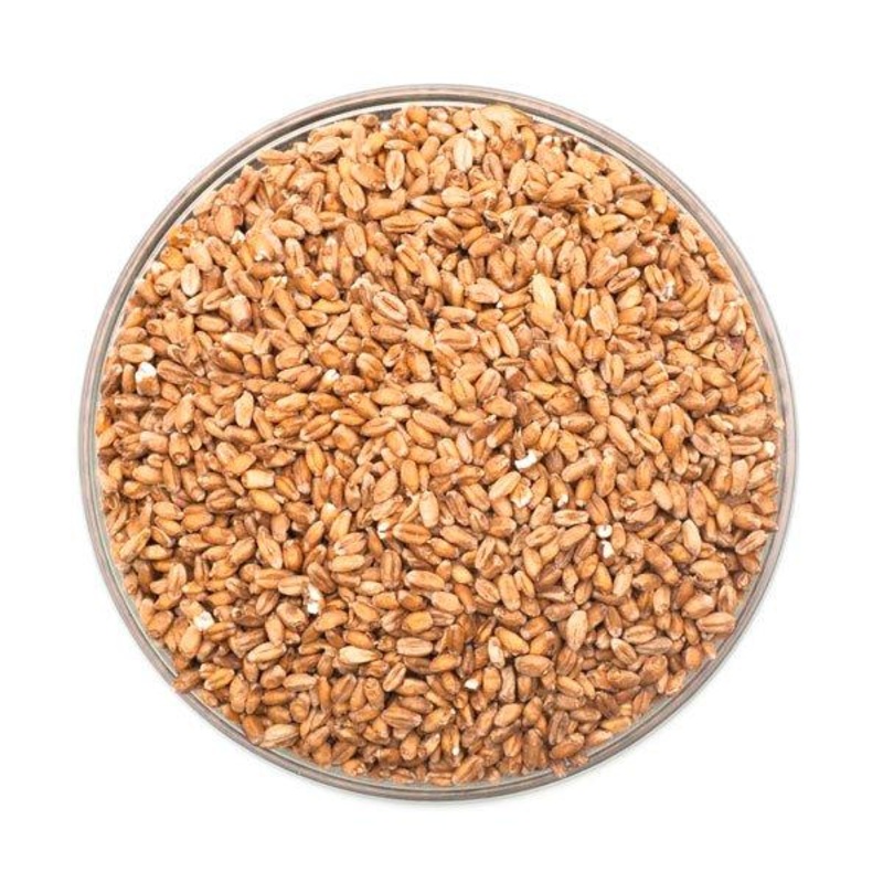 Red Wheat Malt – Rahr – 55 lb. Sack