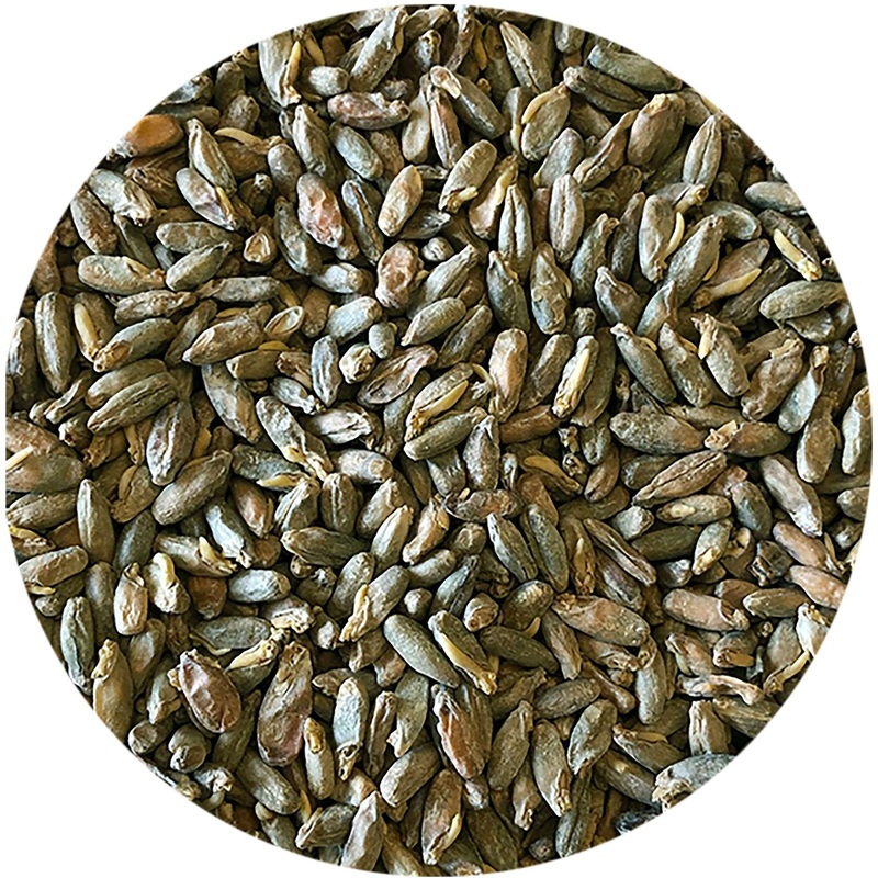 Rimrock (Vienna-Style Spring Rye) Malt – Mecca Grade – 50 lb. Sack