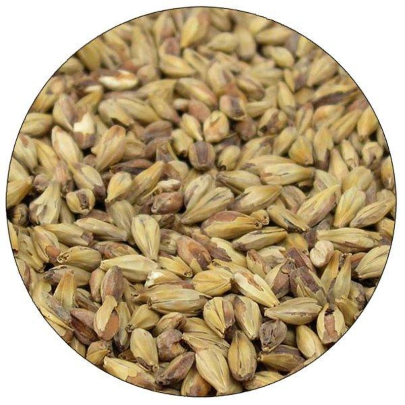 Special Roast Malt – Briess – 50 lb. Sack