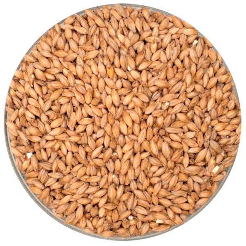 Stout Malt – Malting Company of Ireland – 55 lb. Sack
