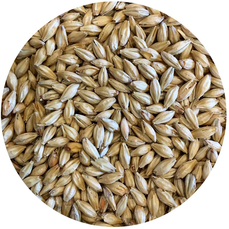 Vanora (Vienna-style) Malt – Mecca Grade – 50 lb. Sack