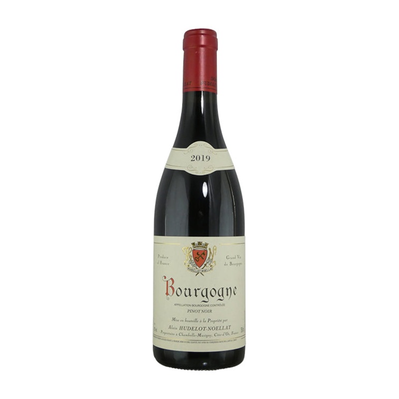 Alain Hudelot-Noellat Bourgogne – 2019 (750ml)
