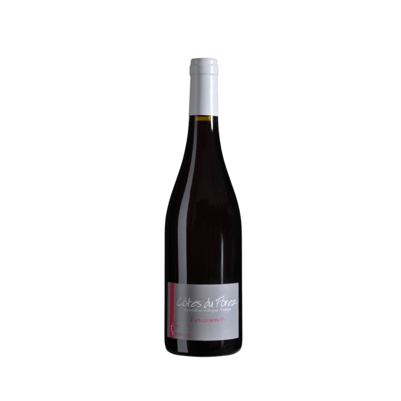 Verdier Logel Gamay Les Gourmets – 2023 (750ml)