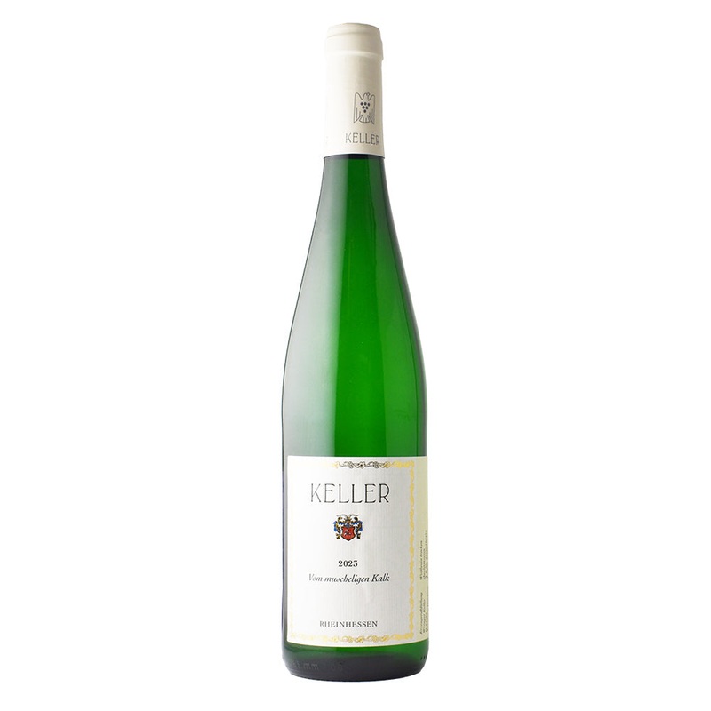 Keller Vom Muscheligen Kalk, Rheinhessen 2023