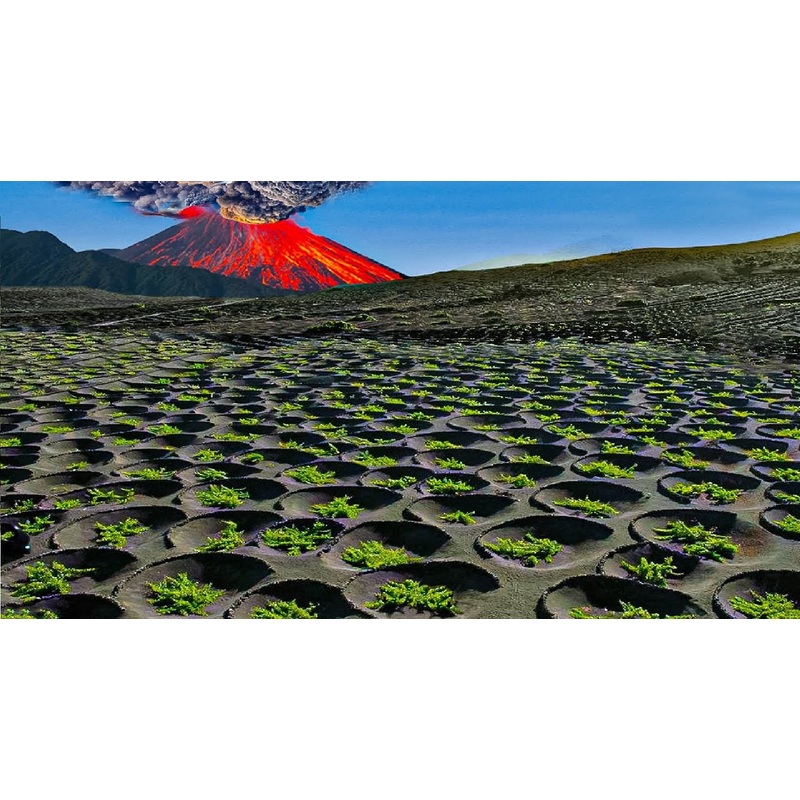 Wine Class: Volcanic Wines w/ Emma Criswell