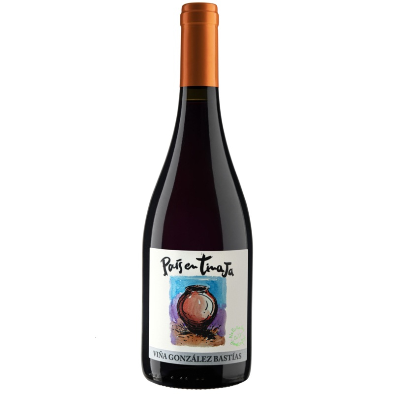 Vina Gonzalez Bastias ‘Pais en Tinaja’ Pais, Maule Valley, Chile 2020 Case (6x750ml)