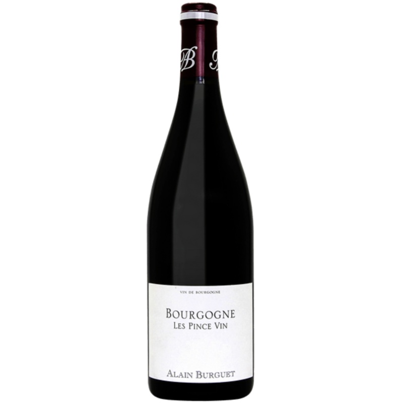 2019 | Jean Luc Eric Burguet Bourgogne Les Pince Vin | Burgundy