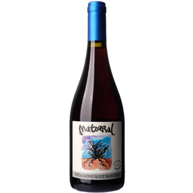 Vina Gonzalez Bastias ‘Matorral’, San Javier, Chile 2020