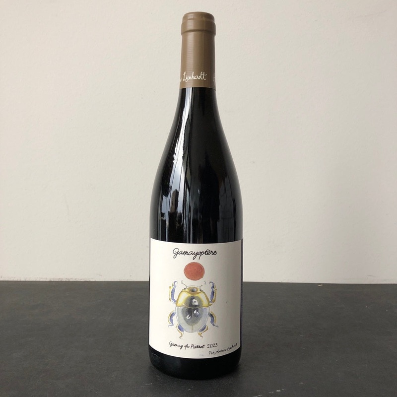 2023 Antoine Lienhardt Coteaux Bourguignons Gamayoptere, Burgundy, France