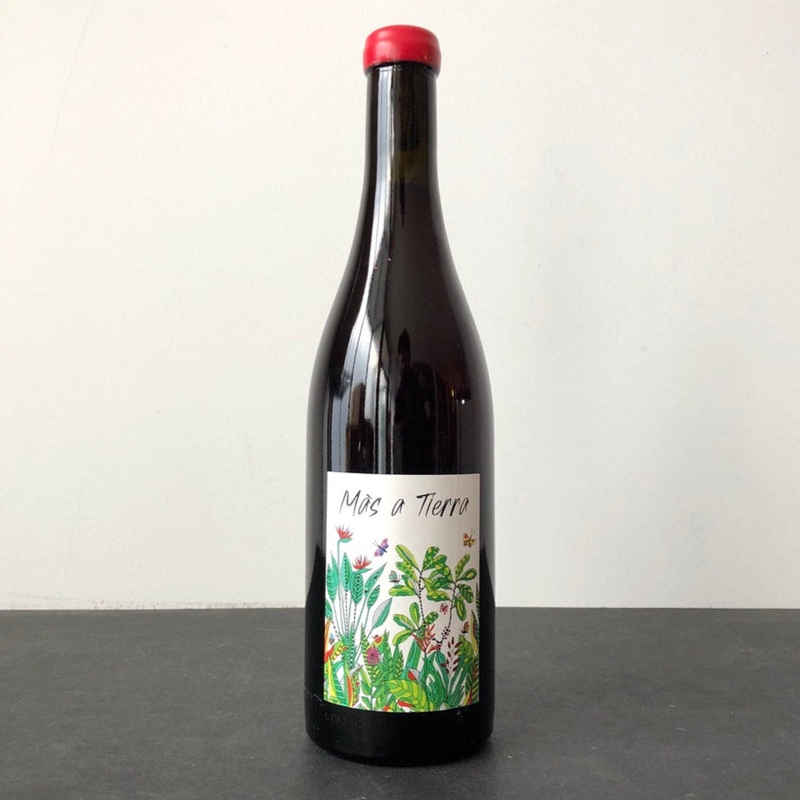2023 Petite Empreinte Pinot Noir Coteaux Bourguignons ‘Mas a Tierra’, Burgundy, France