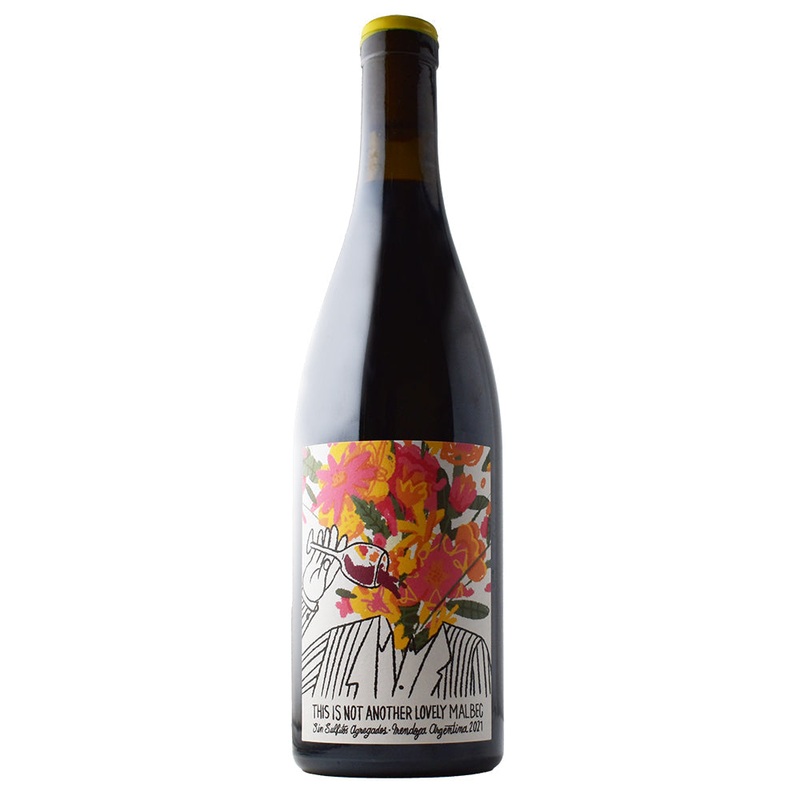 Tinal This is not another lovely Malbec, Mendoza 2021