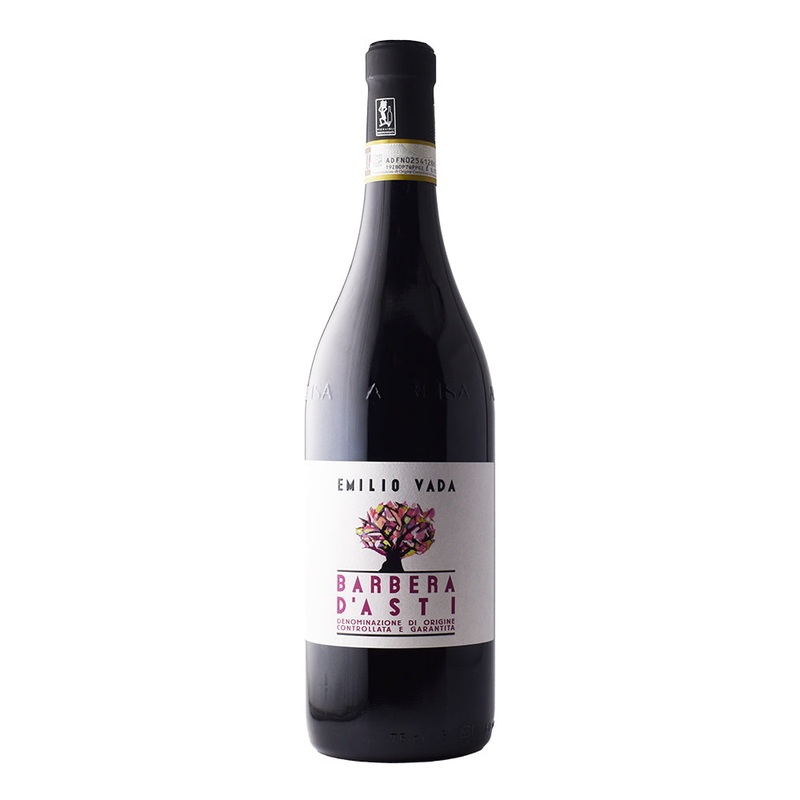 2022 Emilio Vada Barbera D’Asti